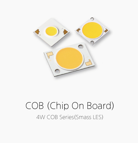 COB (Chip On Board)